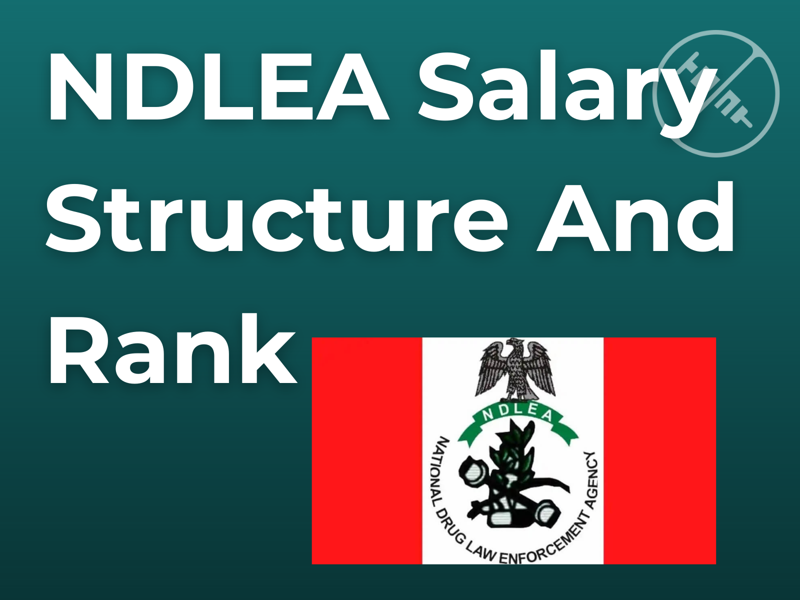 NDLEA Salary Structure and Ranks in Nigerian Naira 2025